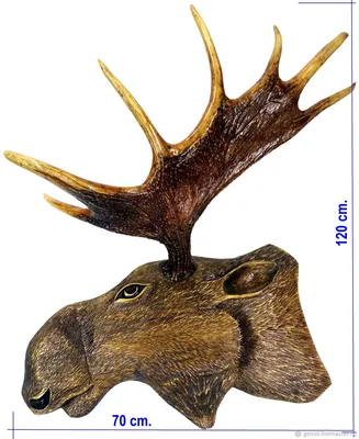 Рога лося с медальоном в виде головы лося, ручная работа – купить онлайн на  Ярмарке Мастеров – DBS5PRU | Подарки для охотников и рыболовов,  Санкт-Петербург
