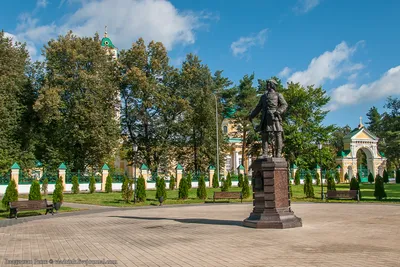 Дрессировка собак Лосино-Петровский