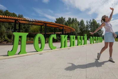 Национальный парк \"Лосиный остров\": проблемы и перспективы