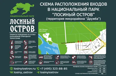 Тайны парков Москвы: прогулки и неожиданные маршруты по известным местам