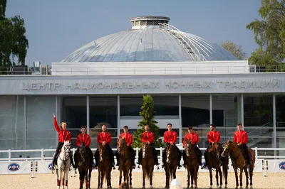 Лучшие скакуны Шелкового пути: на ВДНХ пройдут чемпионаты ахалтекинских и  арабских пород лошадей | ВДНХ