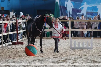 Самые красивые лошади — Самый Самый на TenChat.ru