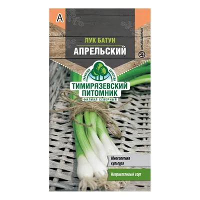 Лук батун Апрельский Тимирязевский питомник 1 г — купить в Великом  Новгороде в Петровиче: цена за штуку, характеристики, фото