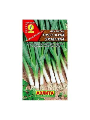 Семена Лук батун Русский зимний 1г в пакете Аэлита 13134277 купить в  интернет-магазине Wildberries