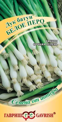 ✓ Семена Лук батун Белое перо, 0,5г, Гавриш, Семена от автора по цене 35  руб. ◈ Большой выбор ◈ Купить по всей России ✓ Интернет-магазин Гавриш ☎  8-495-902-77-18