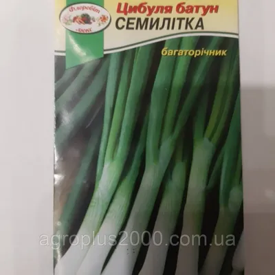 Семена Лук Батун Семилетка 1 грамм PNOS: продажа, цена в Харькове. Семена и  рассада овощных культур от \