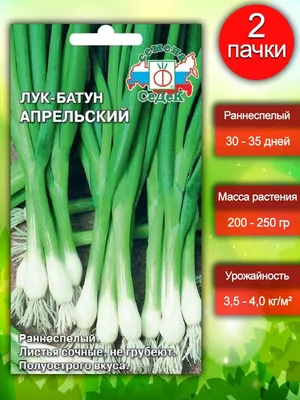 Семена Лук-Батун Апрельский 1 гр. - 2 пакета. СеДек 44880933 купить в  интернет-магазине Wildberries