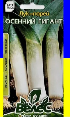 Купить Лук Порей Осенний гигант - 0,5 г Велес, цена 3.80 грн — Prom.ua  (ID#902701658)