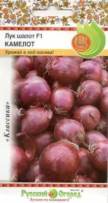 Лук шалот Камелот F1 (Русский огород) — купить, заказать в магазине  Натуралист