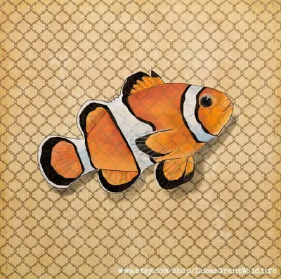 Красивая рыба-клоун нарисована на 12-дюймовой карточке альбома для вырезок. Художник - Лукас Грант. http://lucasgrant.co.za. | Акварельные рыбы, Акварель и тушь, Искусство иллюстрации