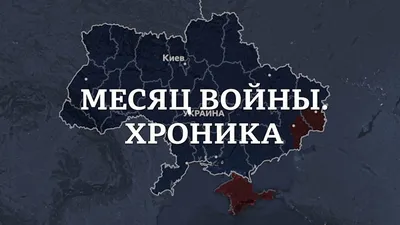 А я сейчас покажу, откуда на Беларусь готовилось нападение...\" Как  Александр Лукашенко стал мемом - BBC News Русская служба