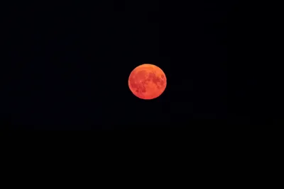 Фото зловеще красной луны: тюменцы стали свидетелями самого большого  суперлуния в 2022 году, - 14 июля 2022 - 72.ru