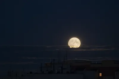 Огромная Луна над Новосибирском: фотографии суперлуния - 14 июля 2022 - НГС