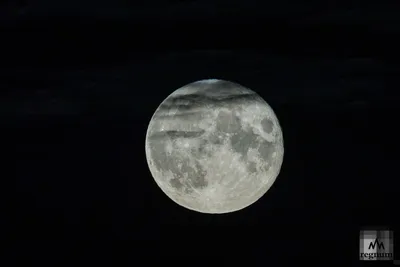 Южнокорейский космический аппарат вышел на орбиту Луны - ИА REGNUM