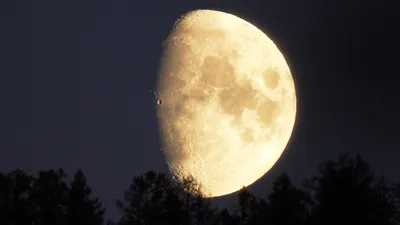 Обломки ракеты упадут на обратную сторону Луны в пятницу, заявили ученые -  РИА Новости, 04.03.2022