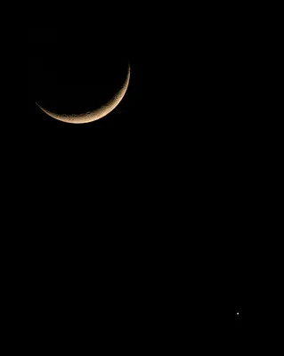 Сближение Луны и Венеры. Фотограф президента поделился фотографией - | 24.KG