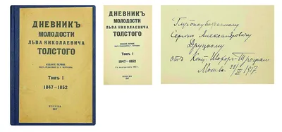 Л.Н. Толстой. Биография. Творчество. Факты | 12.09.2022 | Трехгорный -  БезФормата