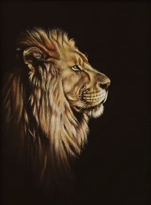 Голова Льва арт - 34 фото
