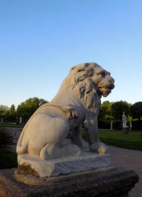 File:Кусково Скульптура льва в парке Москва 2019 фото 1.jpg - Wikimedia  Commons
