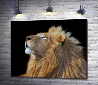 ᐉ Картина ArtPoster Царственный профиль льва 130x104 см Модуль №1 (000566)