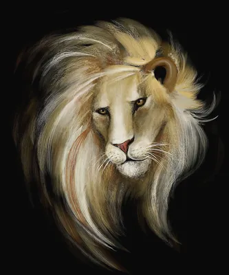 Фотообои Голова льва №45464 купить в Украине | Интернет-магазин Walldeco