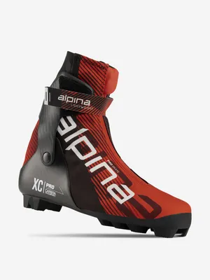 Лыжные ботинки SALOMON S/LAB Carbon Sk Prolink 411582 (NNN)