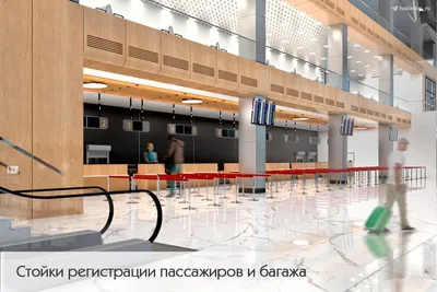 Колымчанам показали, как будет выглядеть новый аэропорт Магадан внутри  (фото) | Новости