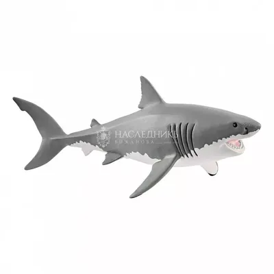 Shark Week™ Leopard Shark Plush | Shop at Build-A-Bear®