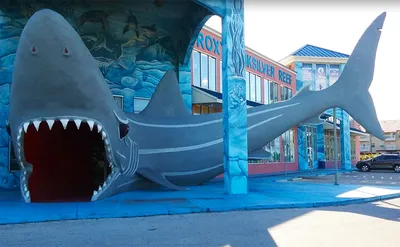 Walk through a shark's mouth for souvenirs