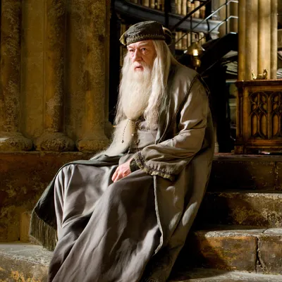 Майкл Гэмбон, Дамблдор из фильмов о Гарри Поттере, умер в возрасте 82 лет - The New York Times