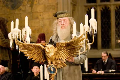 Скачать обои Майкл Гэмбон в роли Даблдора из «Гарри Поттера» | Обои .com