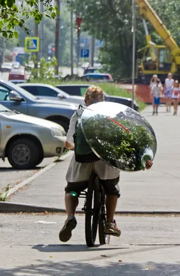 В спальнике