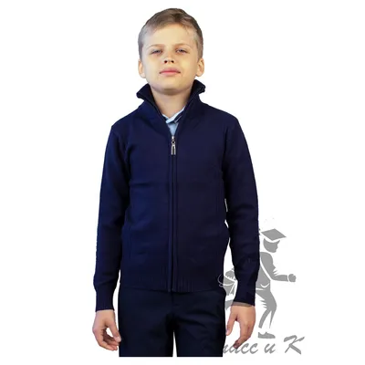 Кофта для мальчика синяя 17160 от 1 780 ₽ руб. Форма для МАЛЬЧИКОВ в  интернет магазине в Москве