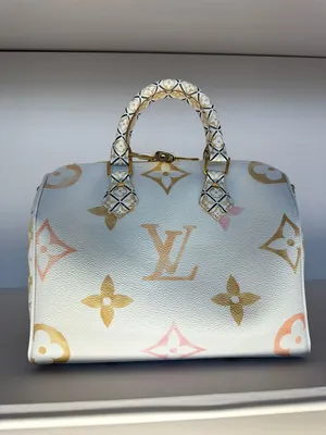 Самые маленькие сумки: Louis Vuitton представил сумку-браслет и сумку на  кулак / NV