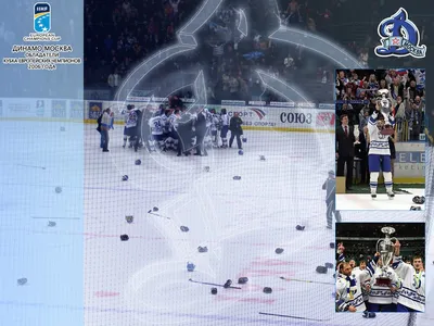 Хоккейные обои. Обои российских хоккейных клубов и клубов НХЛ. Обои на  рабочий стол. Десктопы.