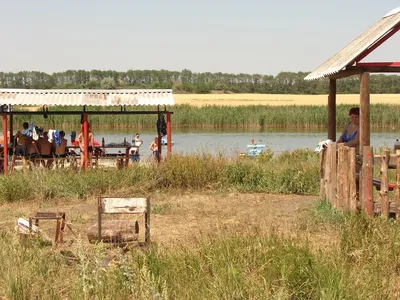 Фото Мангалы в городе Белицкое