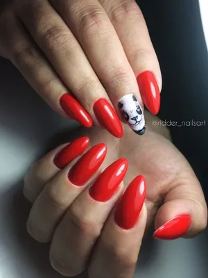 tanyaa_nails | Панды на ногтях / мк маникюр с пандами / нежный дизайн ногте  / обзор гель лаков с WB / ногти конфетки / | Дзен