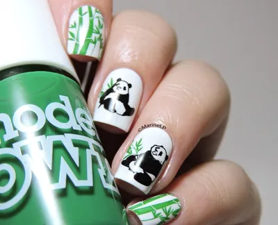 Nail Garden - Весенний панда 🐼 #nailgarden #nails #nailart  #рисункинаногтях #ручнаяросписьногтей #весеннийманикюр #ногтибаку  #маникюрбаку #гельлакбаку #shellacbaku #nailsbaku #dirnaqbaku #instanails |  Facebook