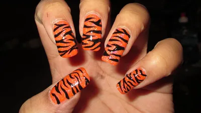 Tiger nails – Scratch