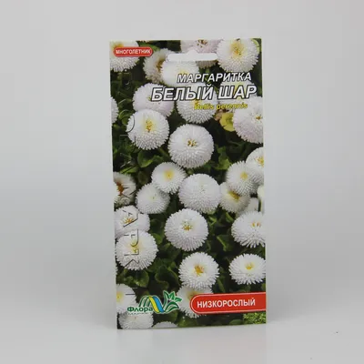 Купить Маргаритки Белый Шар 0.03 г, цена 6 грн — Prom.ua (ID#1368418813)