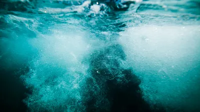 Загадочная «жажда» Марианской впадины: самое глубокое место на Земле  поглощает в никуда тонны воды