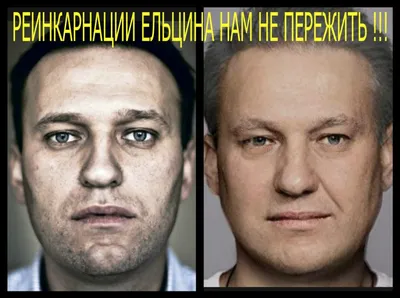 Мнение редактора: Навальный предлагает переклеить обои в свинарнике -  Набат. Независимая социалистическая интернет-газета