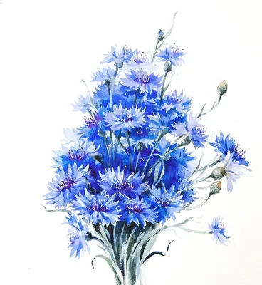 Длинные синие цветы - 73 фото
