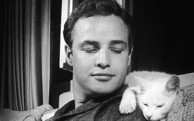 Brando - Марлон Брандо фото (30734820) - Fanpop