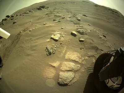 Марсоход NASA прервал вынужденное «молчание» и прислал высококачественные  фото Марса — Ferra.ru