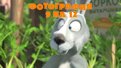 Маша и Медведь - Фотография 9 на 12 (Трейлер 2) - YouTube