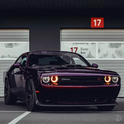 Аренда Dodge Challenger в Москве прокат автомобиля по лучшей цене