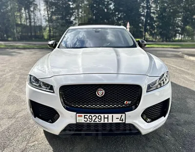 Швейная машина Jaguar Jemlux, купить в Москве, цены в интернет-магазинах на  Мегамаркет