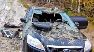 Автоподушки на подголовник МЕДВЕДЬ в салон автомобиля оригинальный подарок  мужчине, мужу, парню (ID#1259219306), цена: 220 ₴, купить на Prom.ua