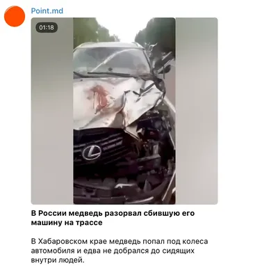 Белый медведь - Отзыв владельца автомобиля УАЗ Pickup 2017 года ( I  Рестайлинг 2 ): 2.7 MT (135 л.с.) 4WD | Авто.ру